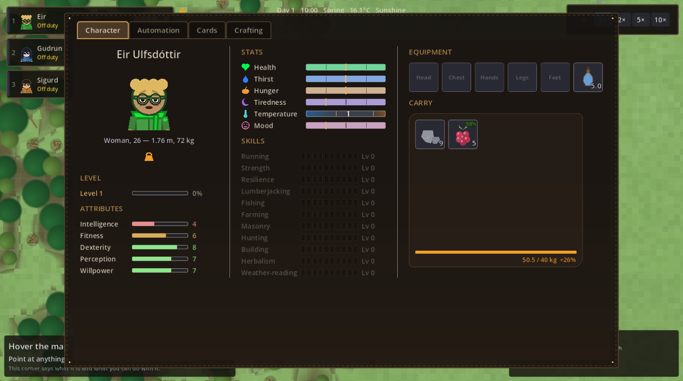 An overloaded companion's character sheet
